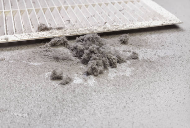 Best Air Duct Cleaning Near Me  in Olivet, MI