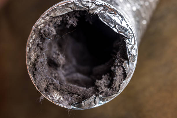 Best Best Air Duct Cleaning Company  in Olivet, MI
